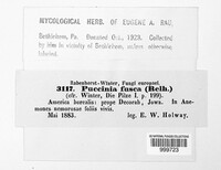 Image Associated With the Occurence